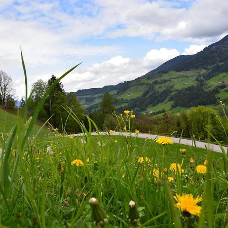 Niederstallnhof Sankt Johann im Pongau Exteriör bild