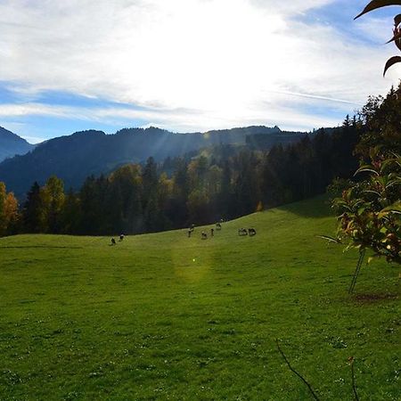 Niederstallnhof Sankt Johann im Pongau Exteriör bild
