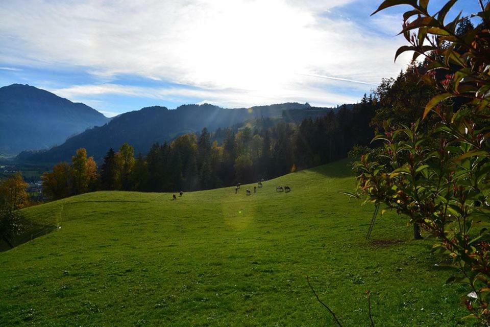 Niederstallnhof Sankt Johann im Pongau Exteriör bild
